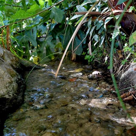 Ecoalbergue Rural De Algodonales Bagian luar foto