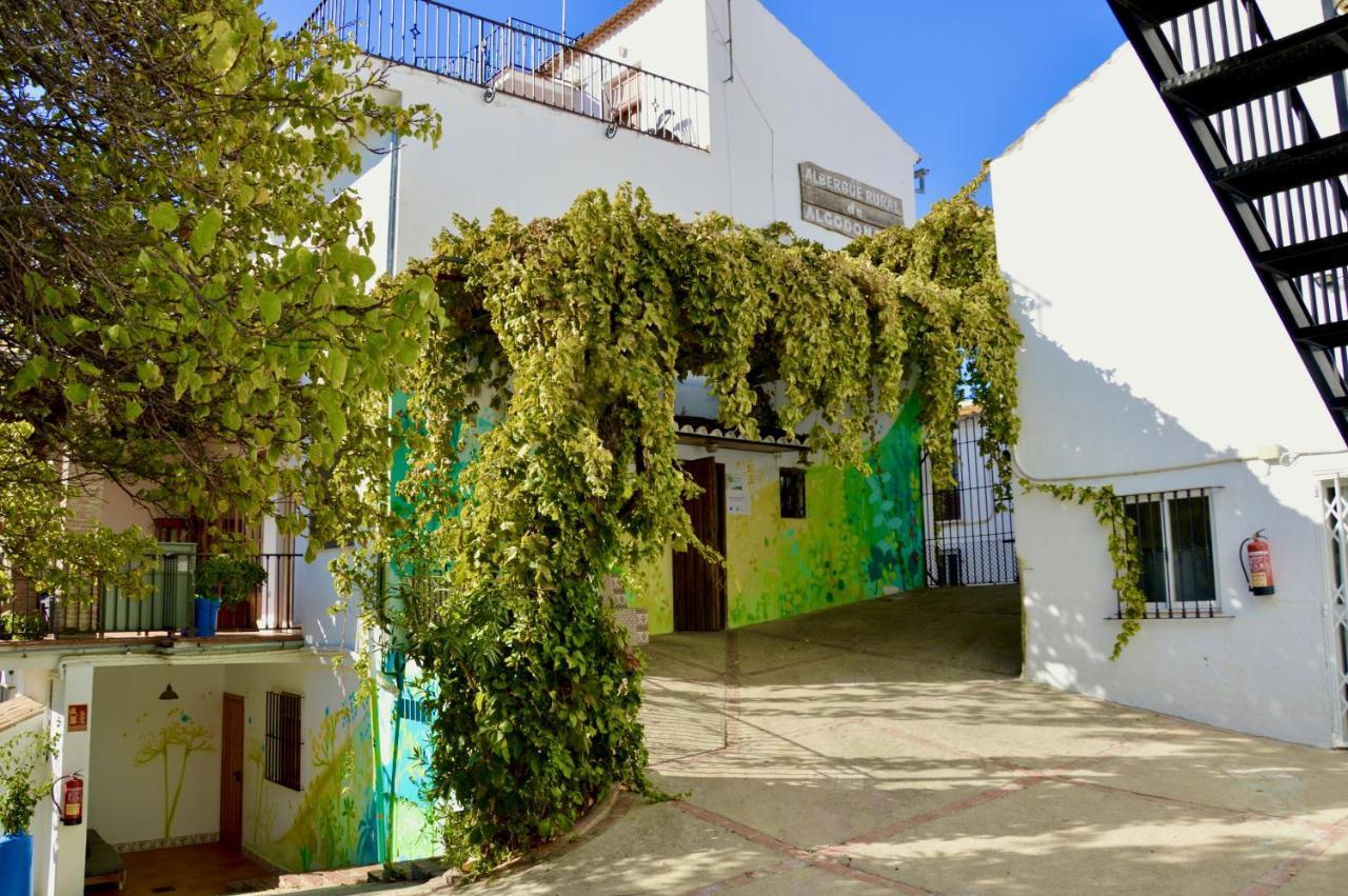 Ecoalbergue Rural De Algodonales Bagian luar foto