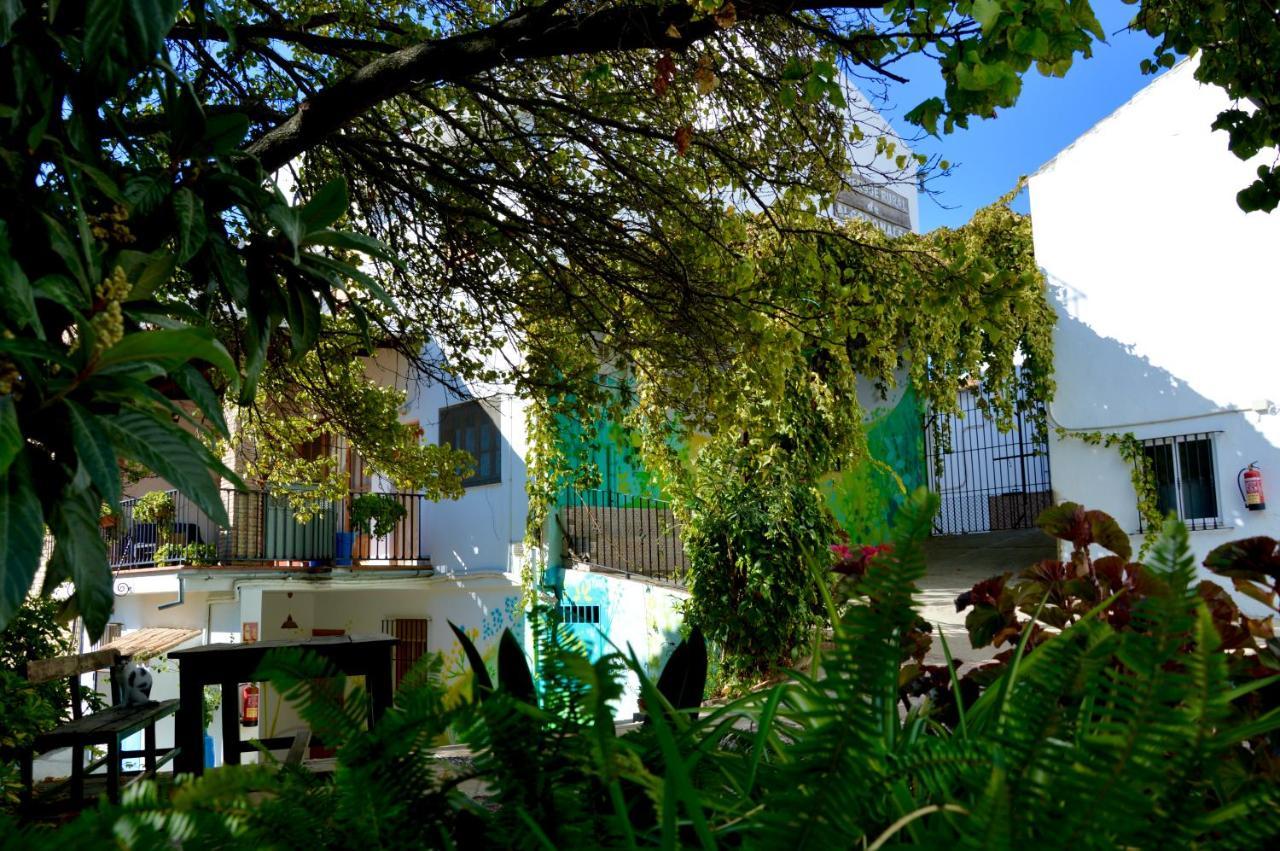 Ecoalbergue Rural De Algodonales Bagian luar foto