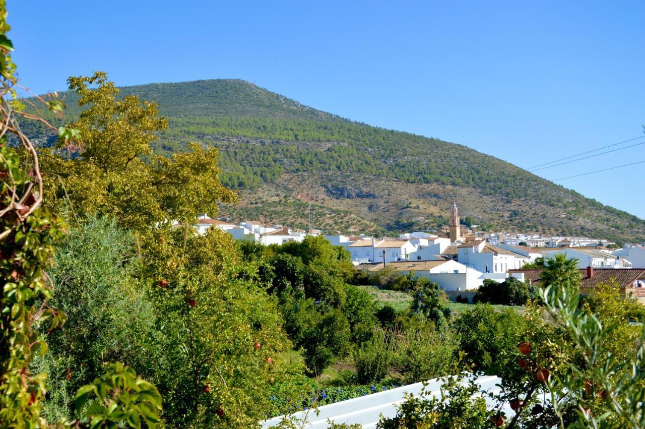 Ecoalbergue Rural De Algodonales Bagian luar foto