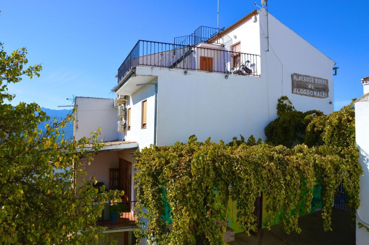 Ecoalbergue Rural De Algodonales Bagian luar foto