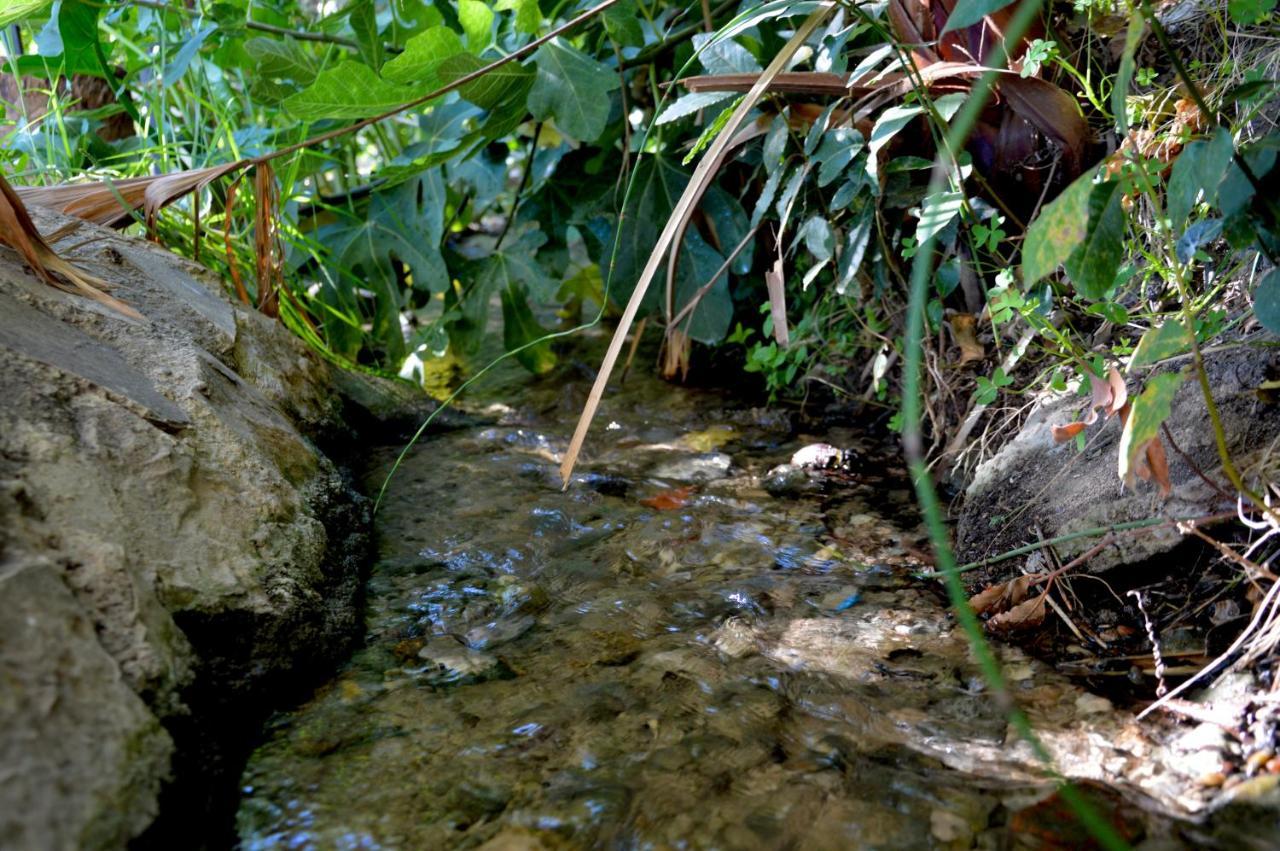 Ecoalbergue Rural De Algodonales Bagian luar foto