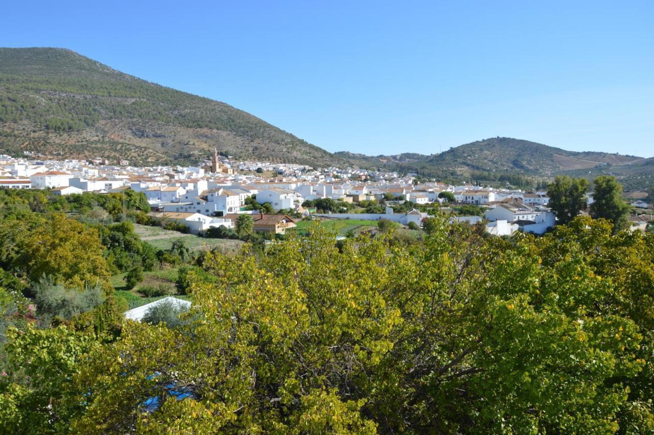 Ecoalbergue Rural De Algodonales Bagian luar foto