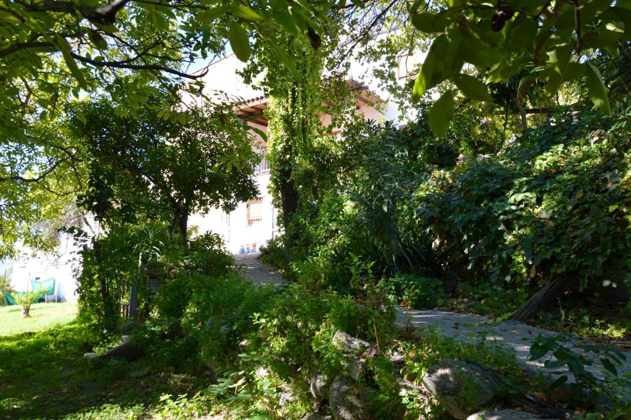 Ecoalbergue Rural De Algodonales Bagian luar foto