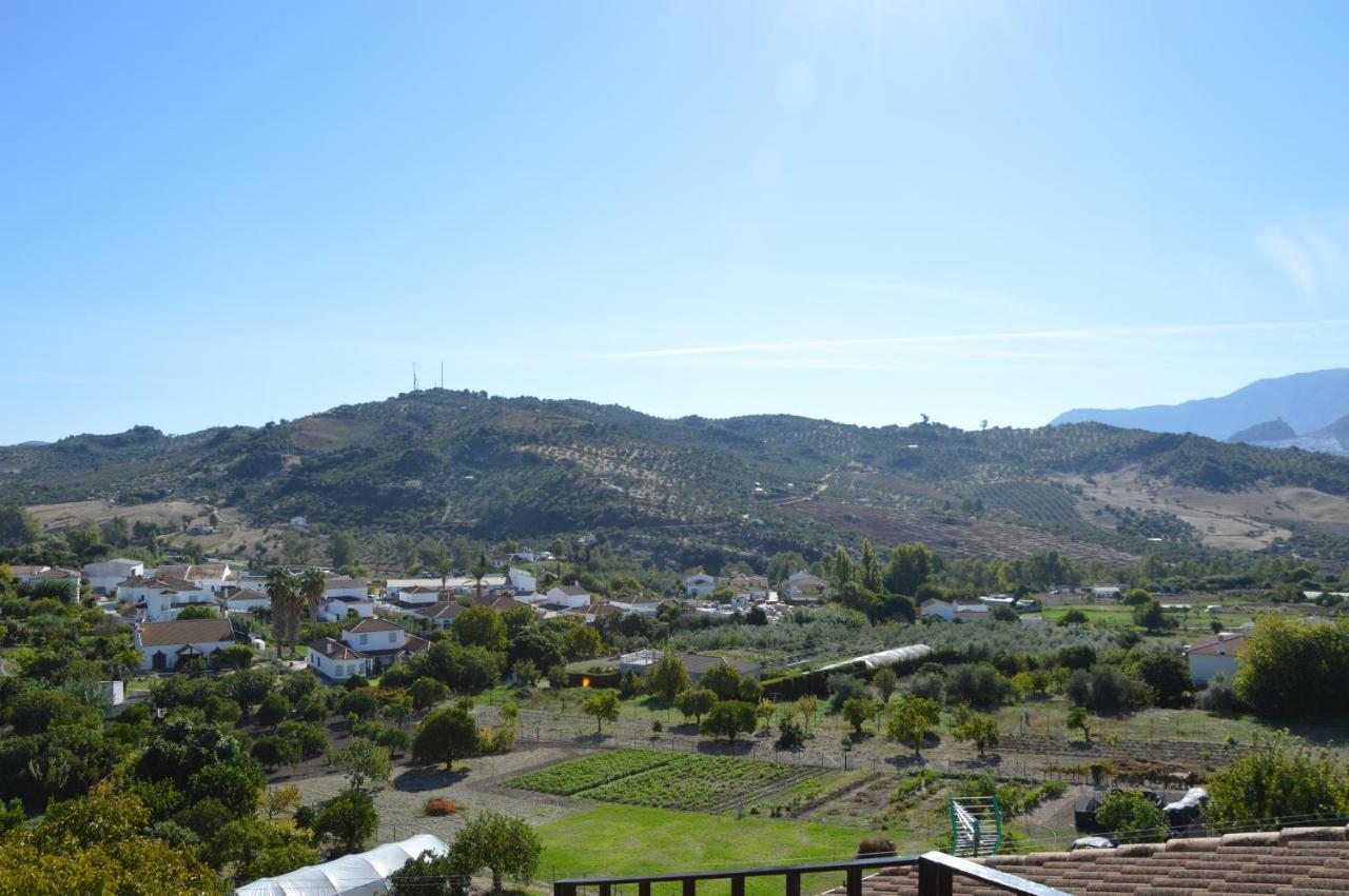 Ecoalbergue Rural De Algodonales Bagian luar foto