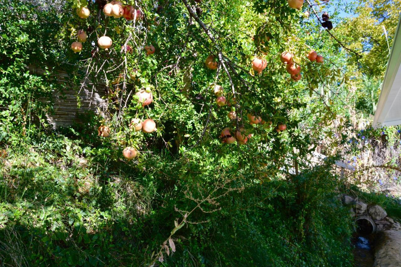 Ecoalbergue Rural De Algodonales Bagian luar foto